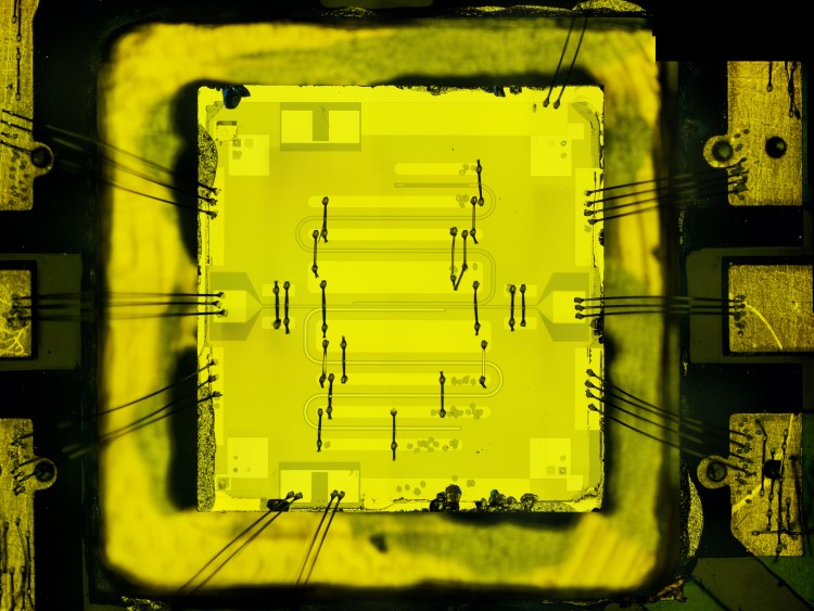 Experimental Chip 1 (c) ISTA