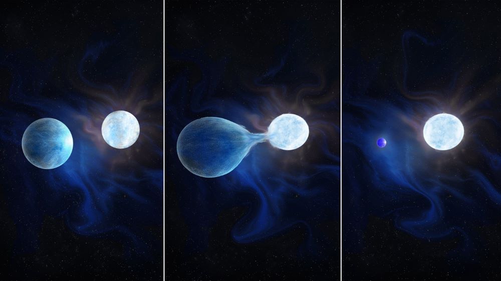 Visualization of a binary star experiencing mass transfer