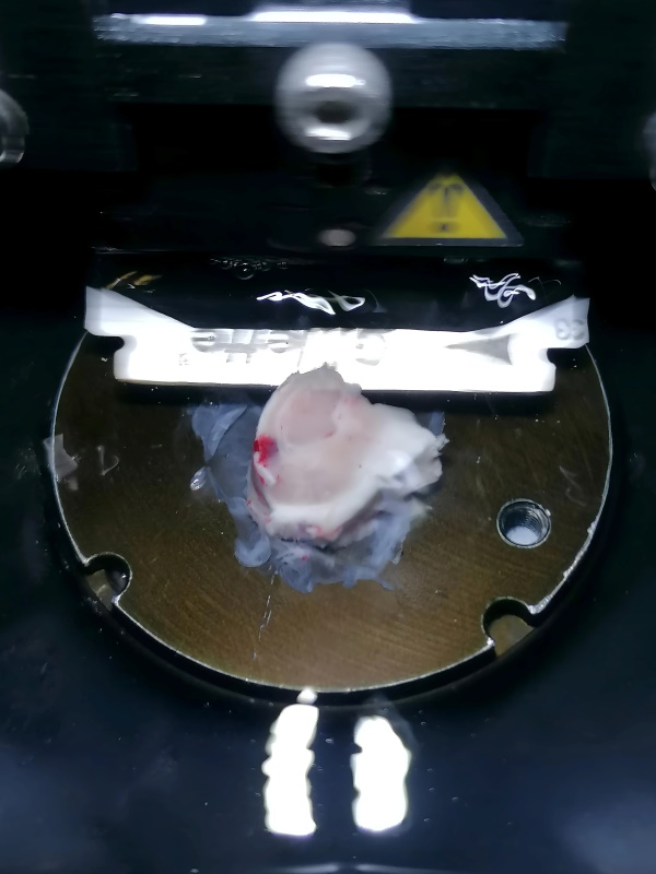 Human tissue block during slicing.