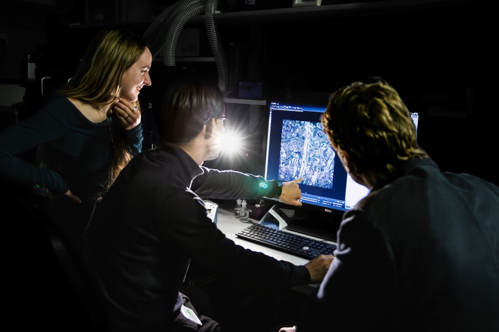 Mojtaba R. Tavakoli, Julia Lyudchik und Johann Danzl diskutieren eine Nahaufnahme des Hippocampus.