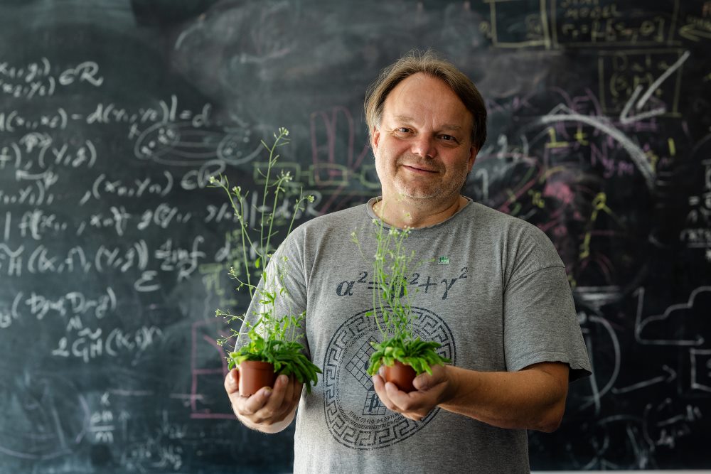 ISTA Professor Jiří Friml with A. thaliana