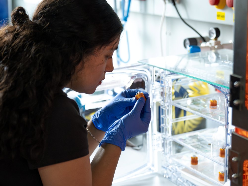 ISTA PhD student and first author Valeska Zambra holds a sample of uranium ditelluride, also known as UTe2.