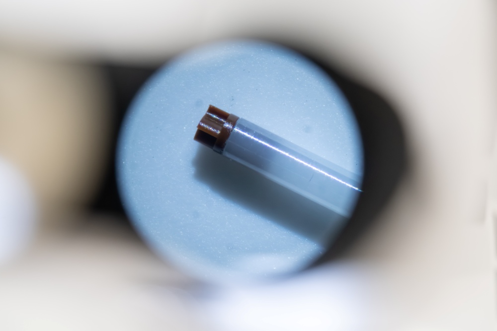 A Magic Angle Spinning rotor containing a protein sample.