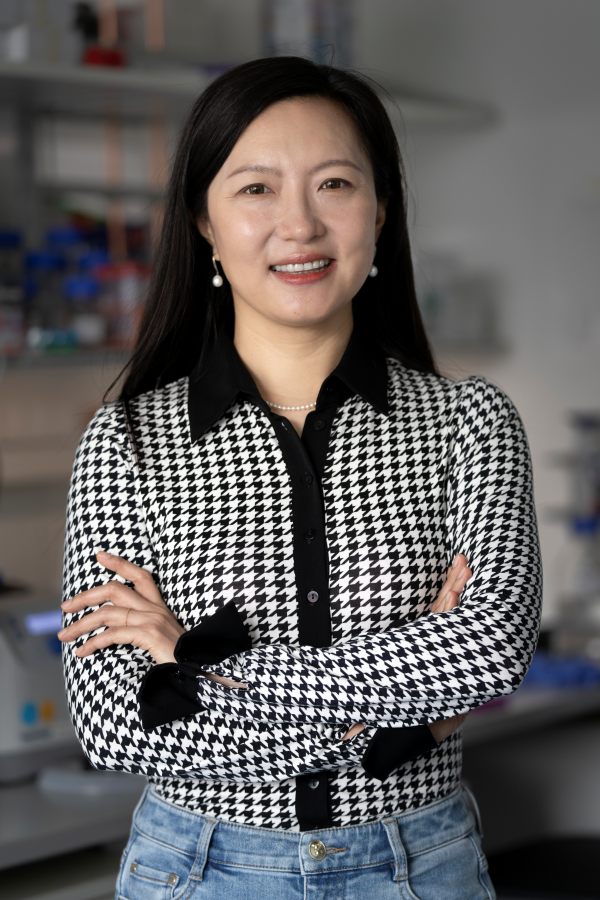 Xiaoqi Feng, Professorin am Institute of Science and Technology Austria (ISTA), ist jetzt Mitglied der European Molecular Biology Organization (EMBO).
