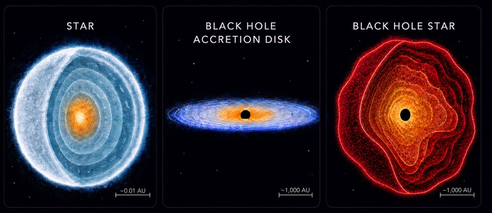 A star, a black hole, and a black hole star.