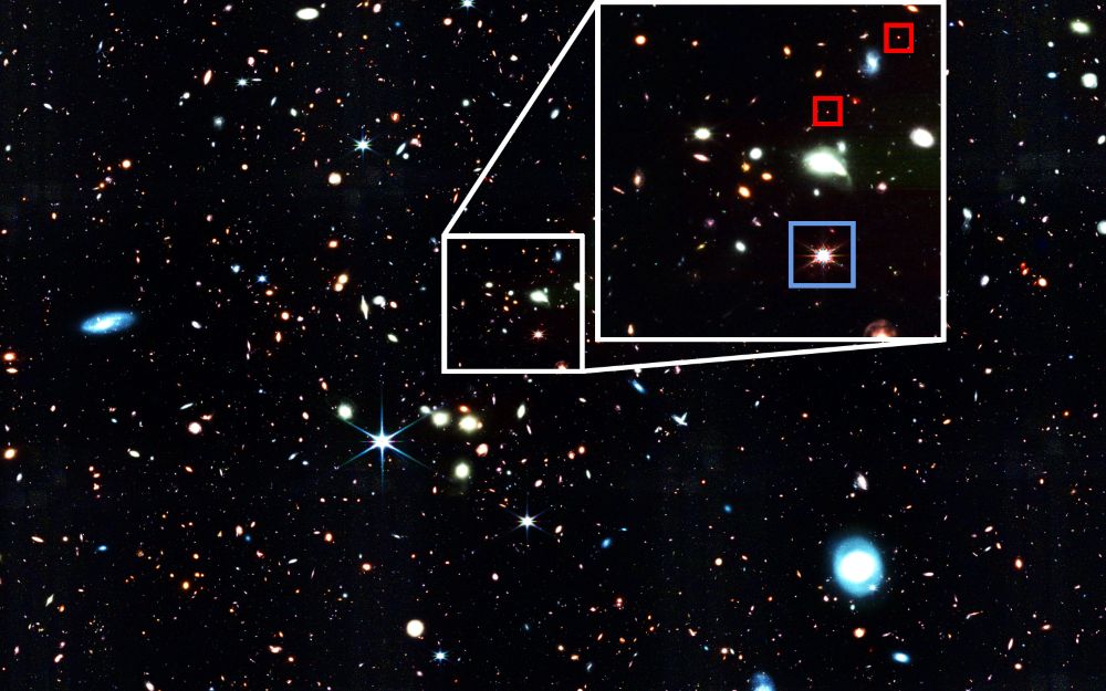 Giant quasar and little red dots.