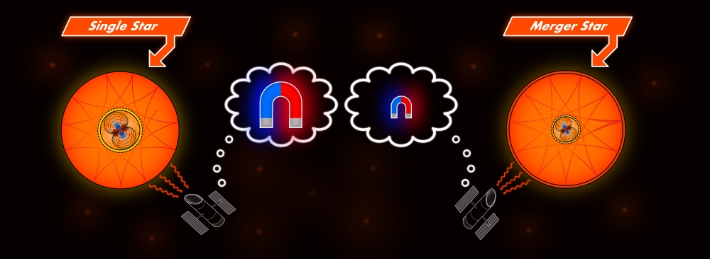 Magnetic fields in stars.